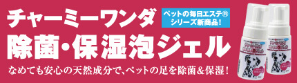 チャーミーワンダ除菌・保湿泡ジェル