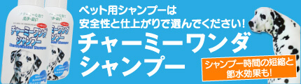 チャーミーワンダ シャンプー